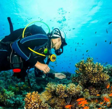 Scuba diving in Andaman - Reasons to do