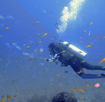 Scuba diving in Andaman - Reasons to do